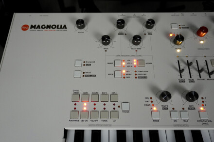 Magnolia 2tof 07 Zoom Gauche Magnolia 2tof 07 Zoom Gauche