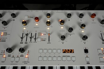 Magnolia 2tof 08 Zoom Centre Magnolia 2tof 08 Zoom Centre