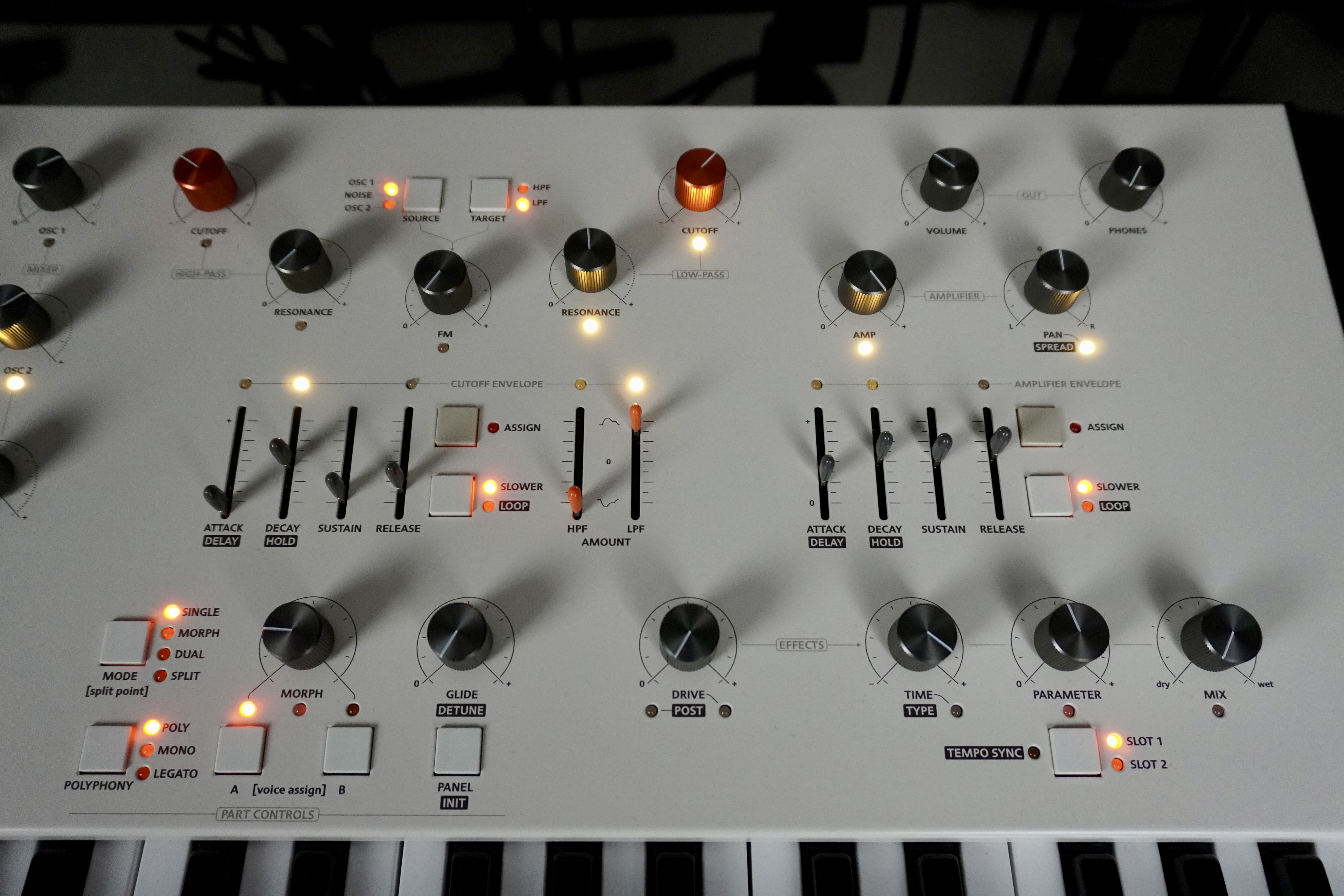 Magnolia 2tof 09 Zoom Droite