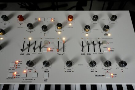 Magnolia 2tof 09 Zoom Droite Magnolia 2tof 09 Zoom Droite