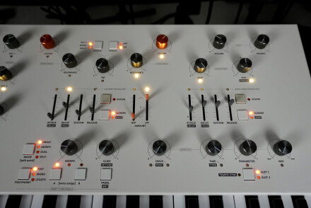 Magnolia 2tof 09 Zoom Droite Magnolia 2tof 09 Zoom Droite