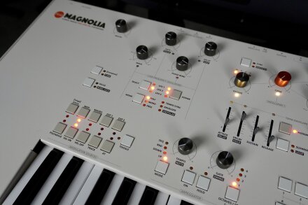 Magnolia 2tof 11 Oblique Gauche Magnolia 2tof 11 Oblique Gauche