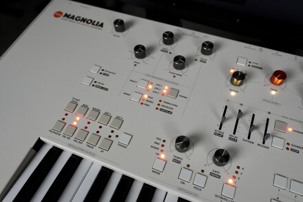 Magnolia 2tof 11 Oblique Gauche Magnolia 2tof 11 Oblique Gauche