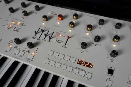 Magnolia 2tof 12 Oblique Centre Magnolia 2tof 12 Oblique Centre