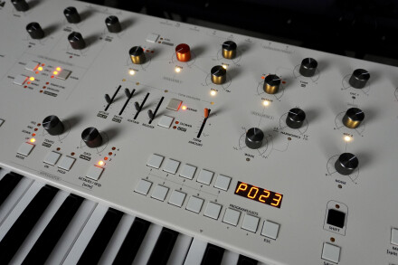 Magnolia 2tof 12 Oblique Centre Magnolia 2tof 12 Oblique Centre