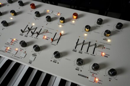 Magnolia 2tof 13 Oblique Droite Magnolia 2tof 13 Oblique Droite