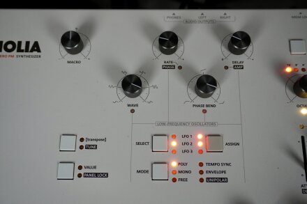 Magnolia 2tof 14 LFO Magnolia 2tof 14 LFO