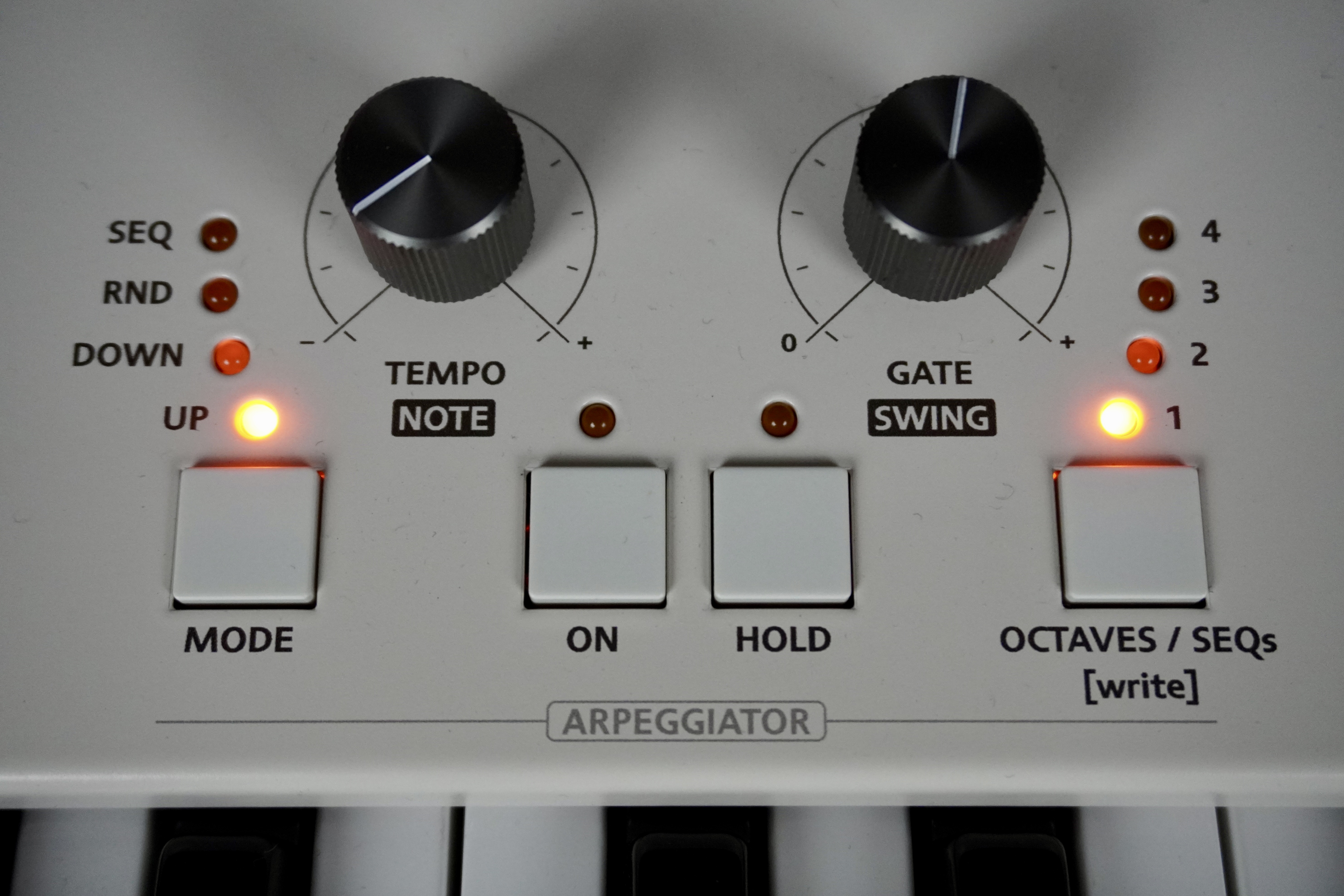 Magnolia 2tof 19 Arp