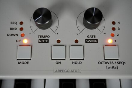 Magnolia 2tof 19 Arp Magnolia 2tof 19 Arp