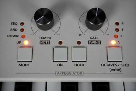 Magnolia 2tof 19 Arp Magnolia 2tof 19 Arp