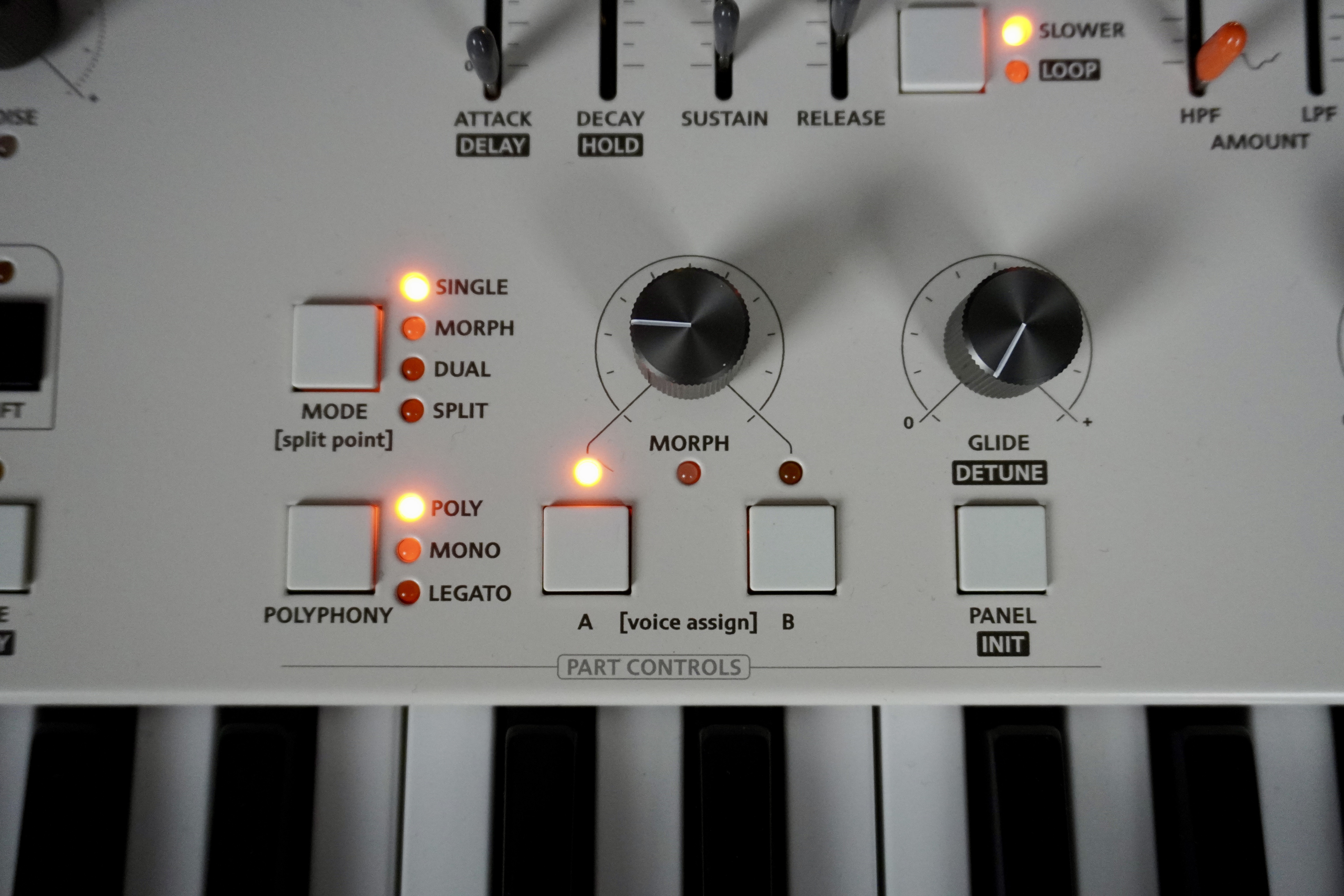 Magnolia 2tof 21 Morph Glide