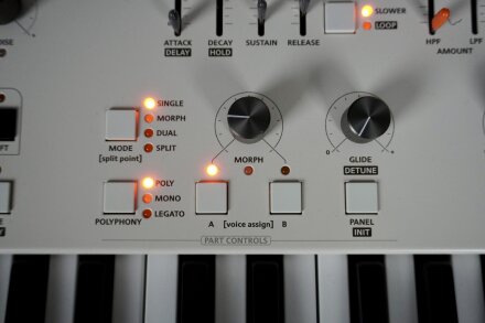 Magnolia 2tof 21 Morph Glide Magnolia 2tof 21 Morph Glide