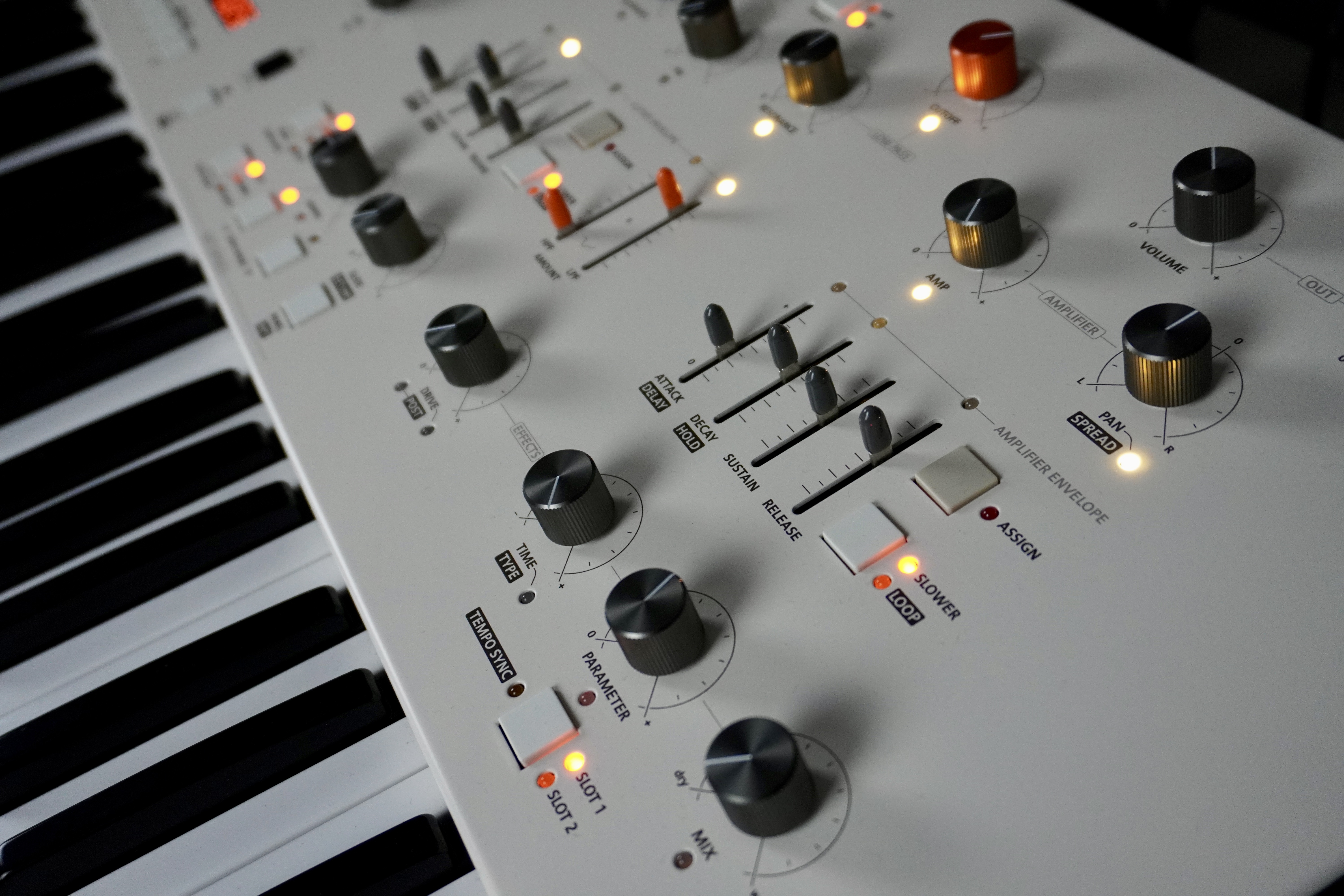 Magnolia 2tof 25 Art