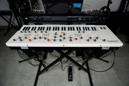 Magnolia 2tof 26 Back Magnolia 2tof 26 Back