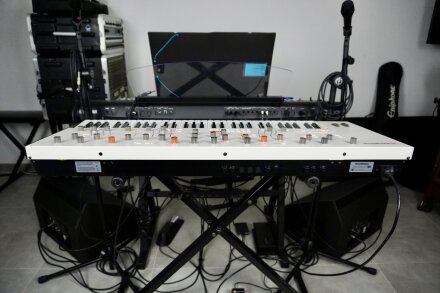 Magnolia 2tof 27 Back Magnolia 2tof 27 Back