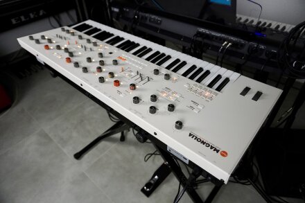 Magnolia 2tof 28 Back Droite Magnolia 2tof 28 Back Droite