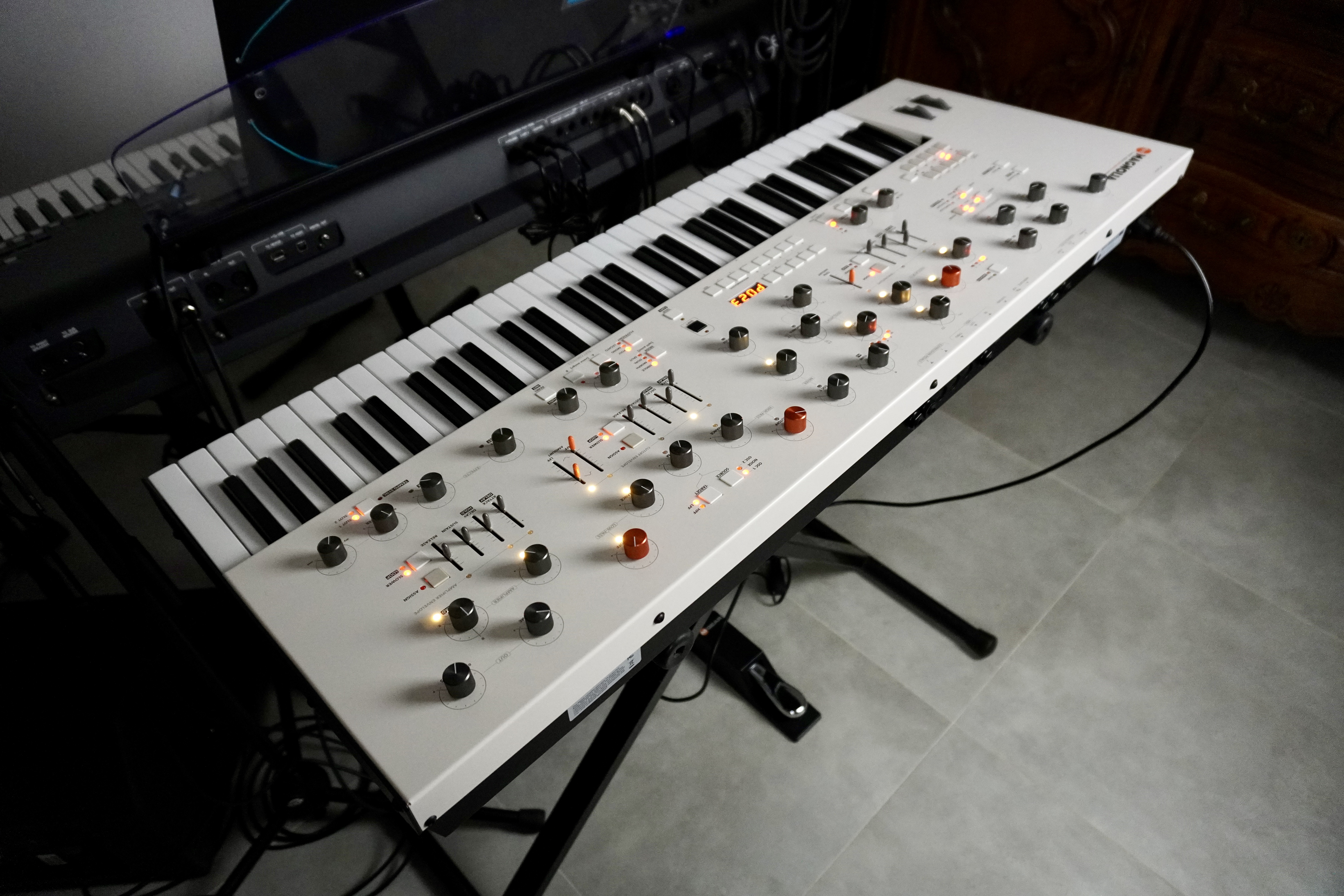 Magnolia 2tof 29 Back Gauche