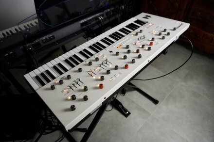 Magnolia 2tof 29 Back Gauche Magnolia 2tof 29 Back Gauche