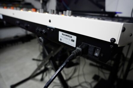 Magnolia 2tof 31 Back Oblique. Magnolia 2tof 31 Back Oblique.