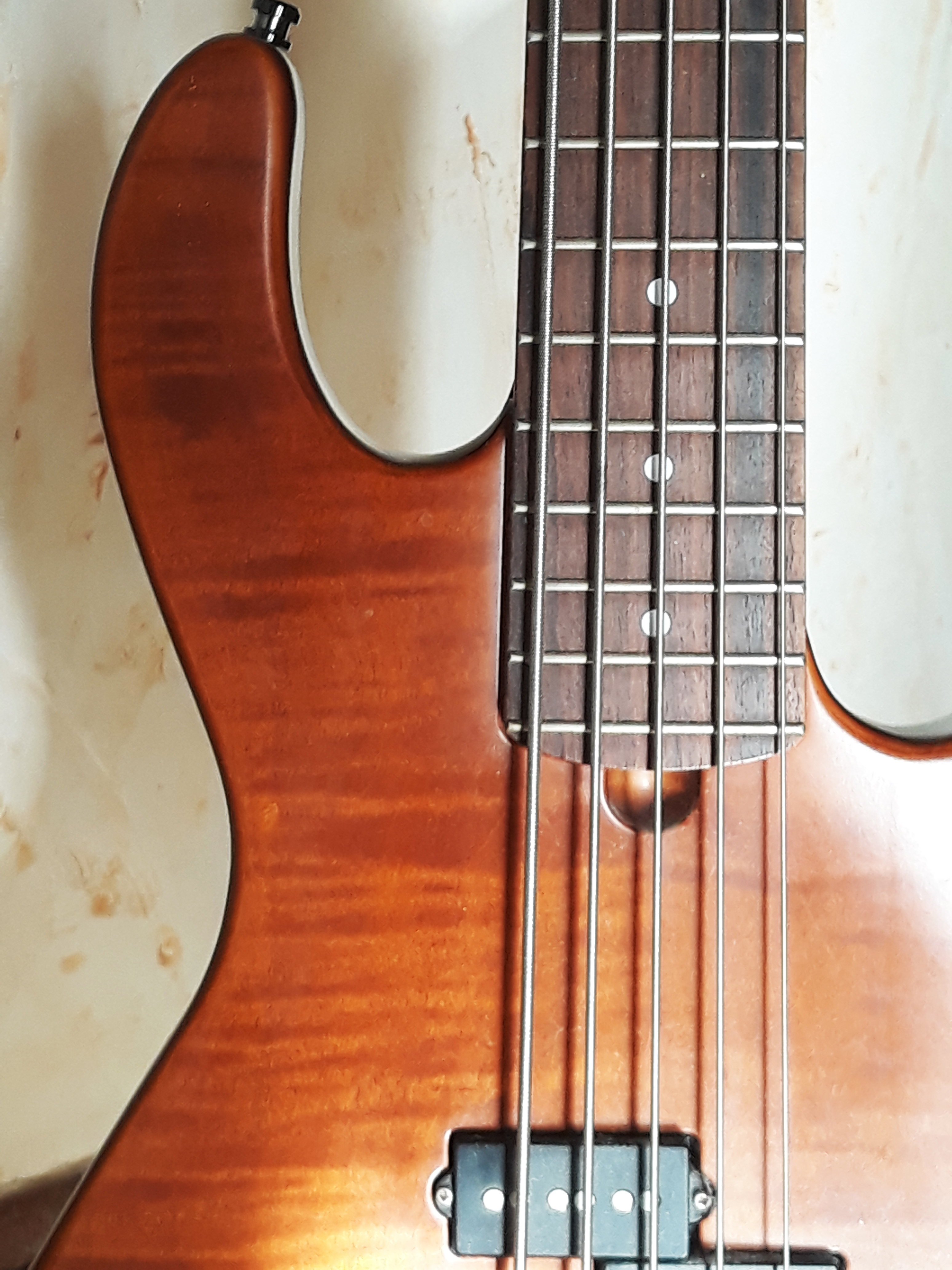 Basse Godin Freeway 5 cordes