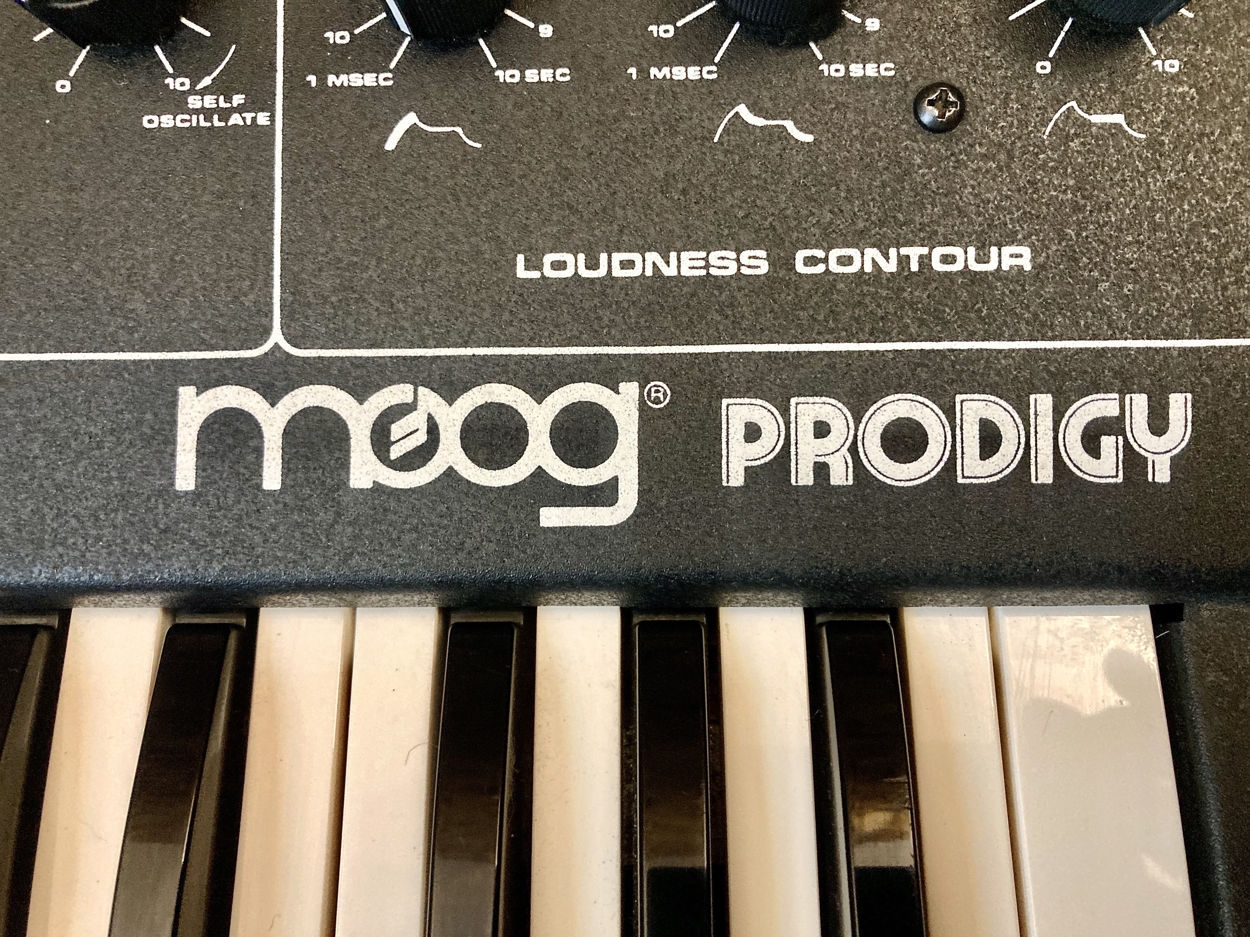 Moog Music Prodigy (86199)