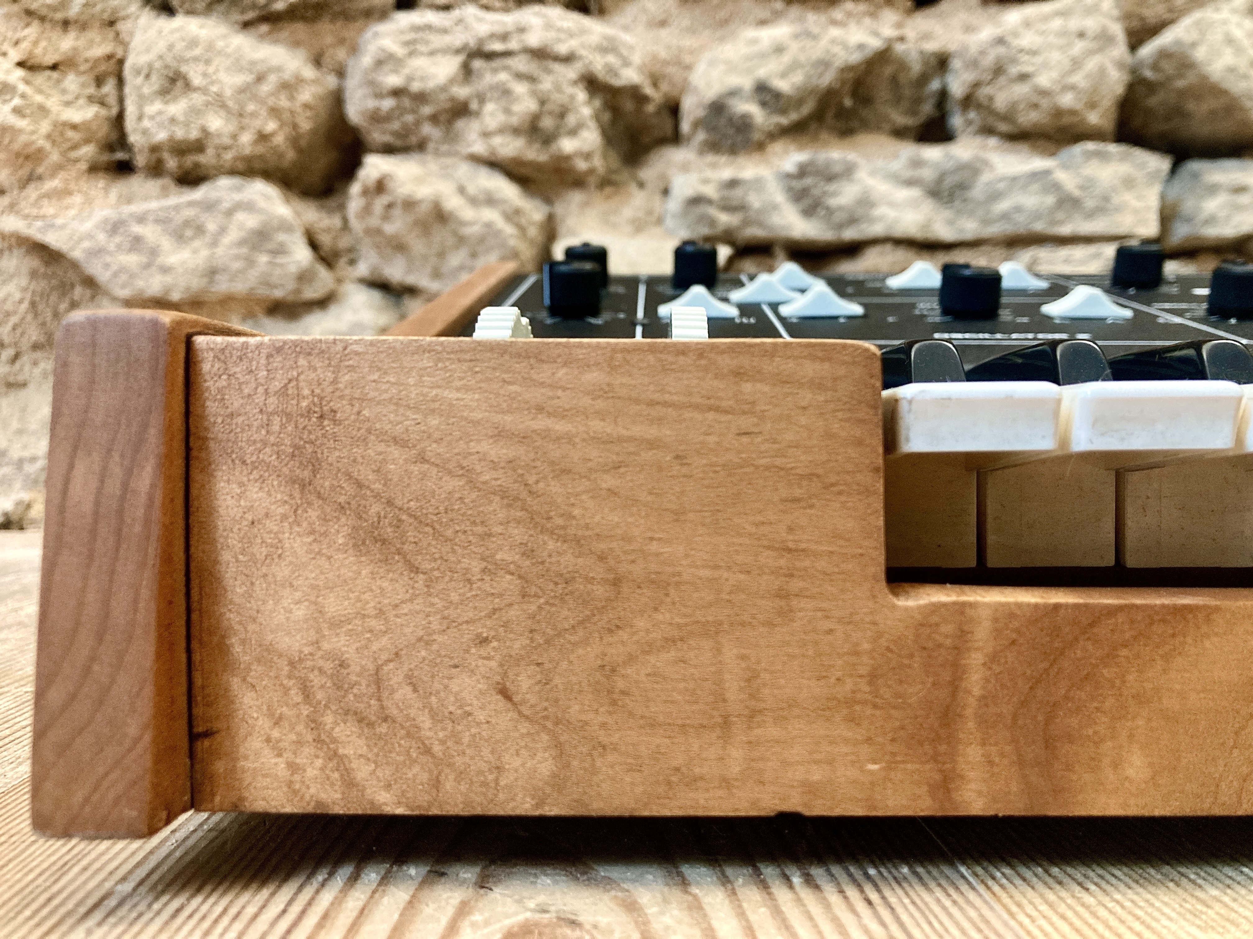 Moog Music Prodigy (86059)
