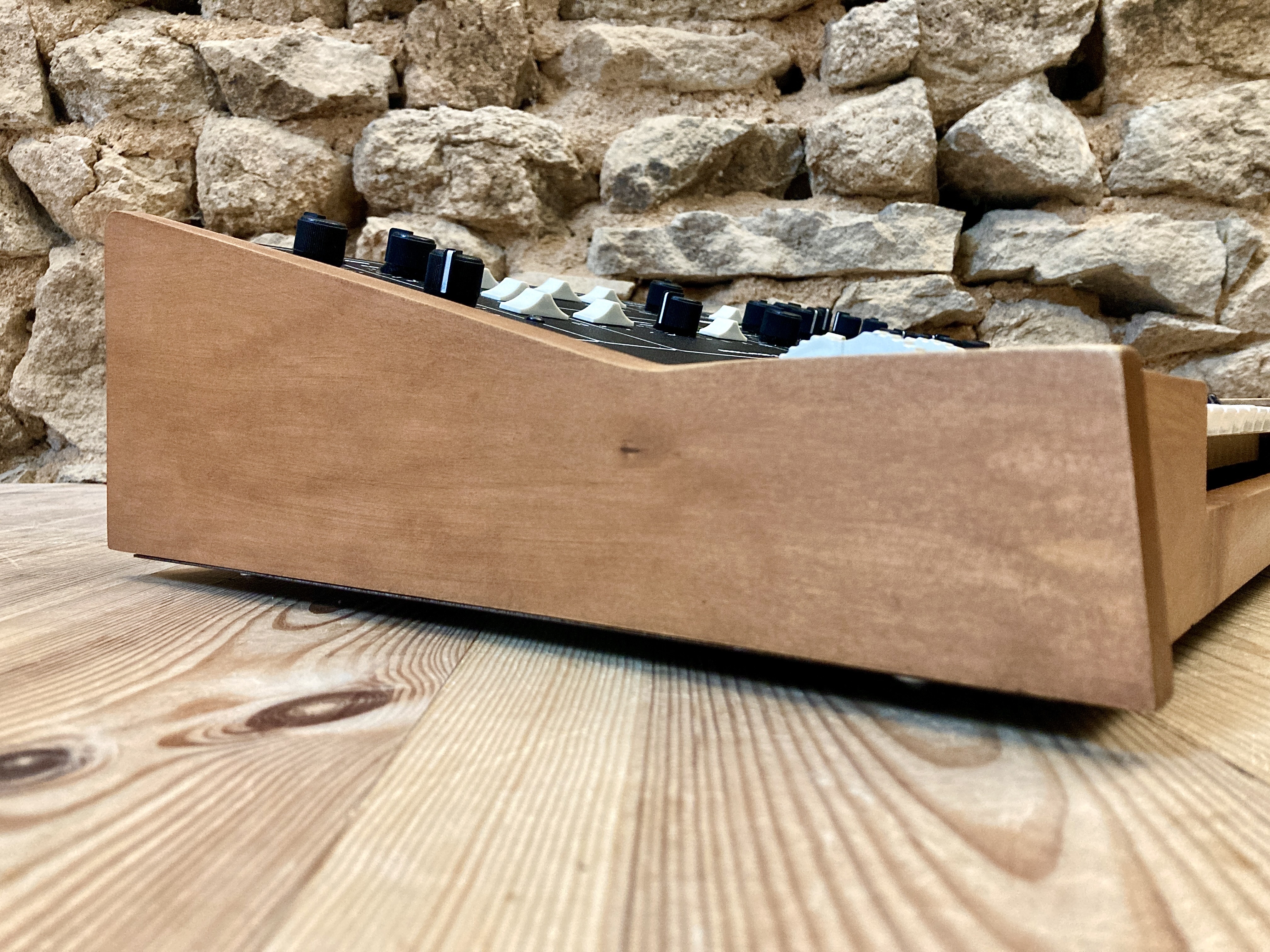 Moog Music Prodigy (47242)