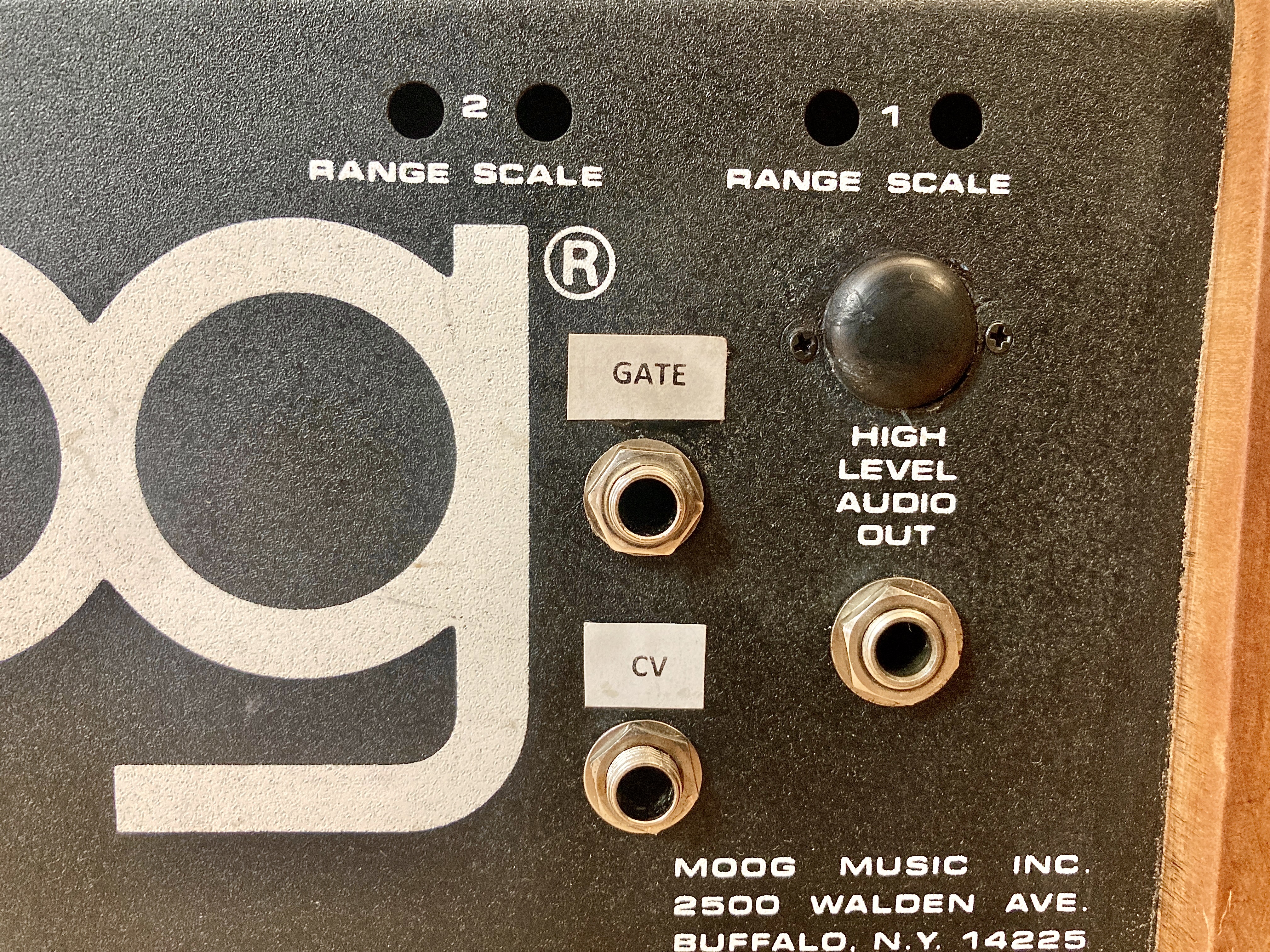 Moog Music Prodigy (22268)