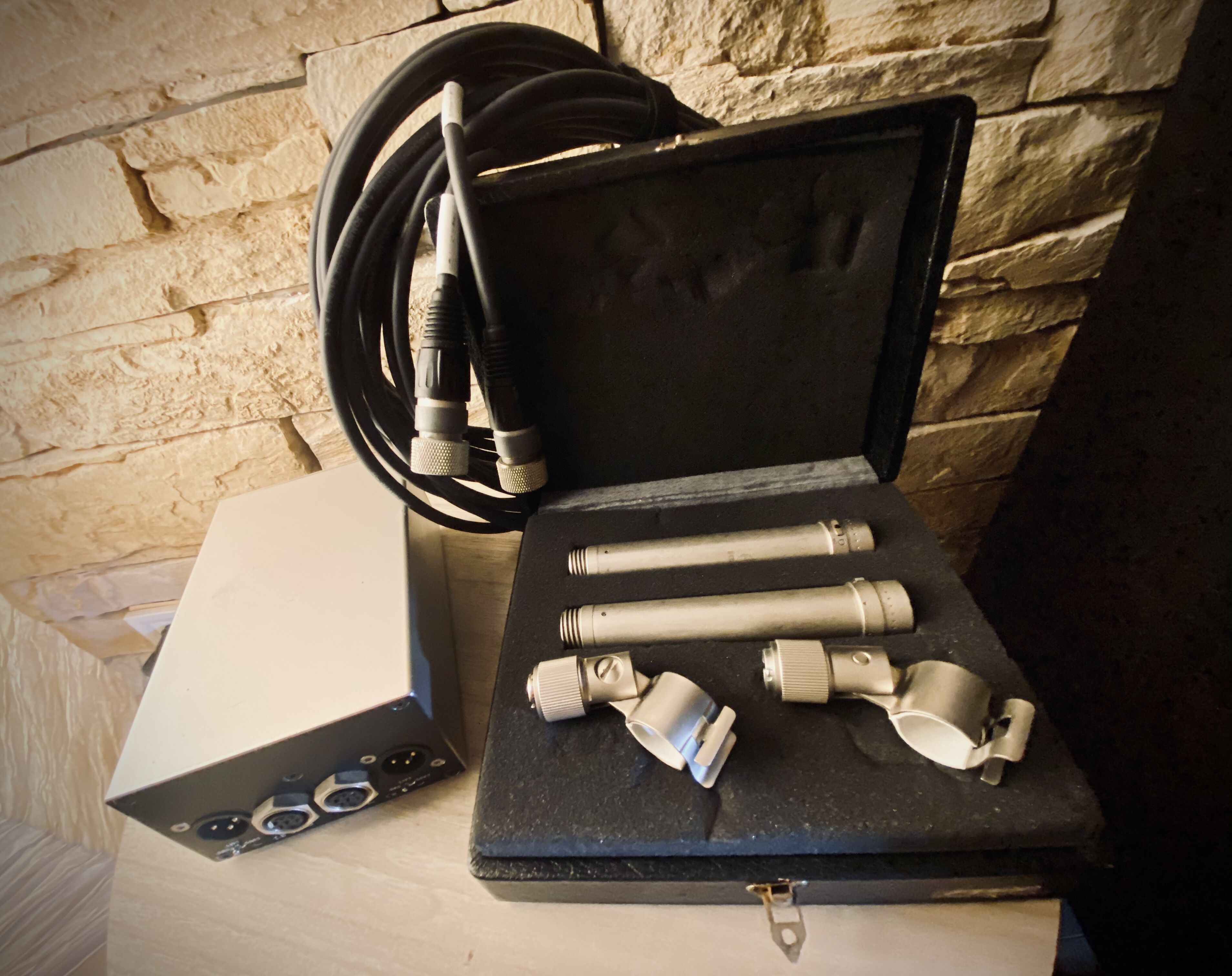 Paire de Schoeps M221f