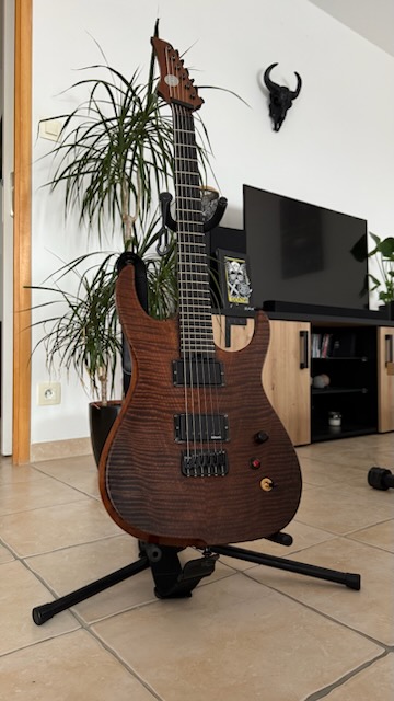 Hufschmid H6 – guitare boutique suisse – certificat – upgrade DiMarzio