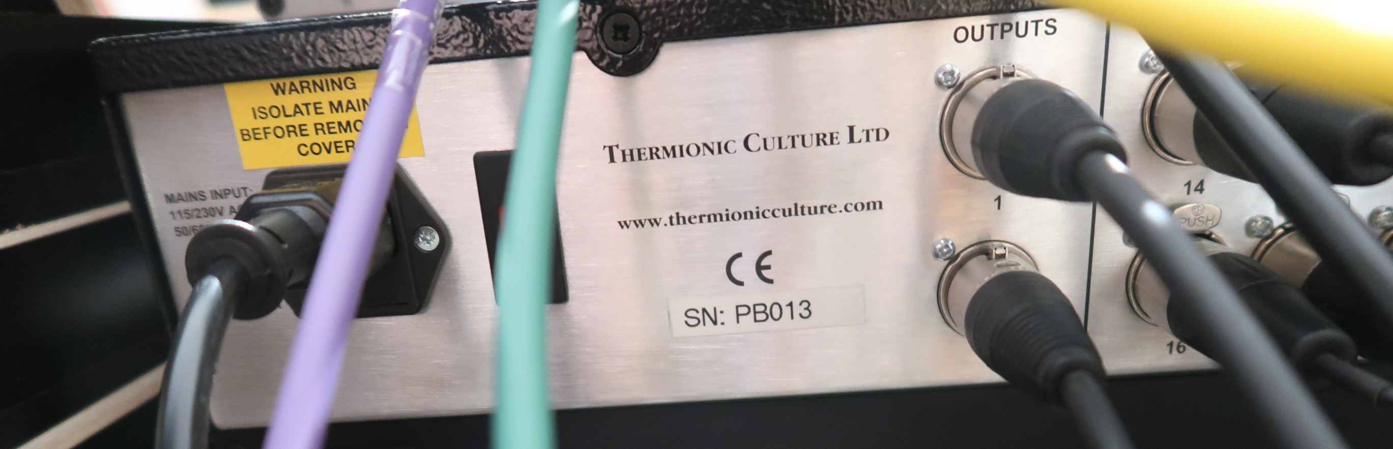 Thermionic Culture The Purple Bustard (1242)