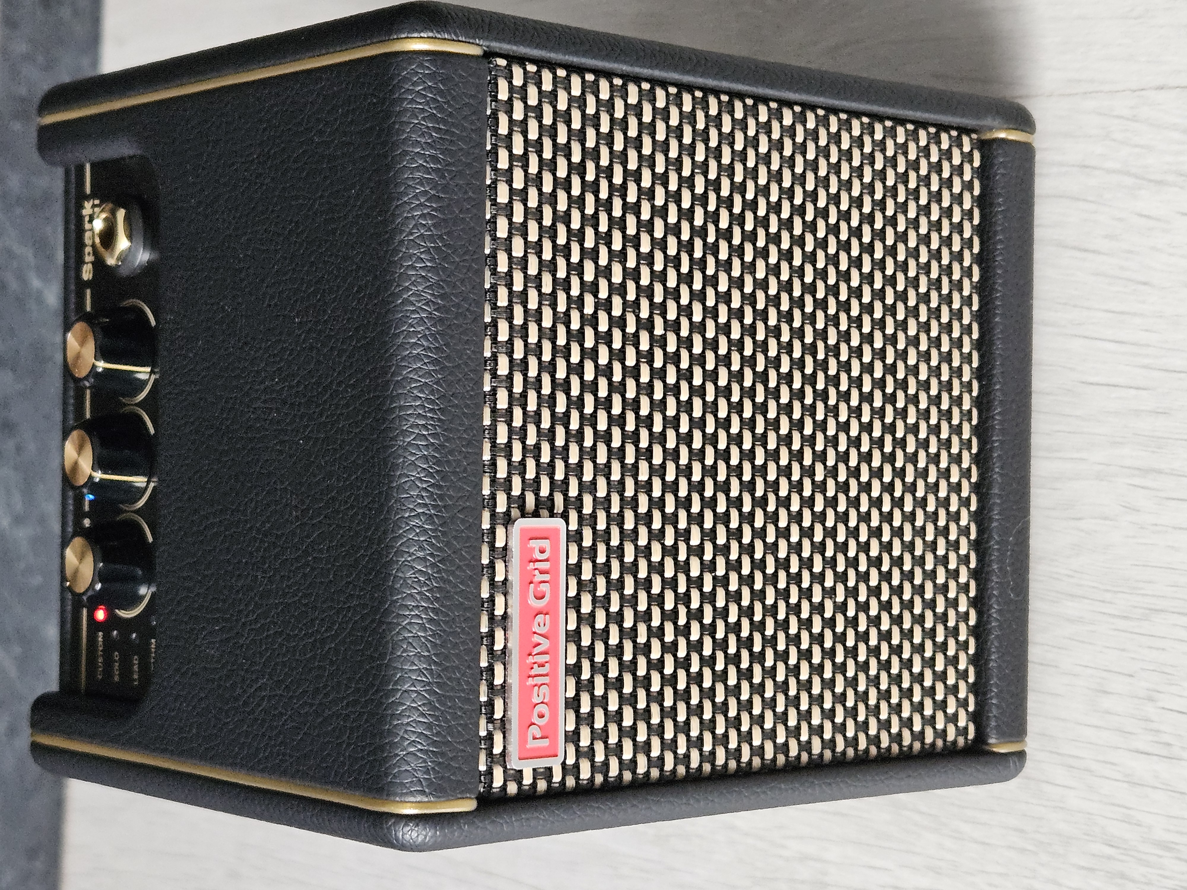 Positive Grid Spark MINI