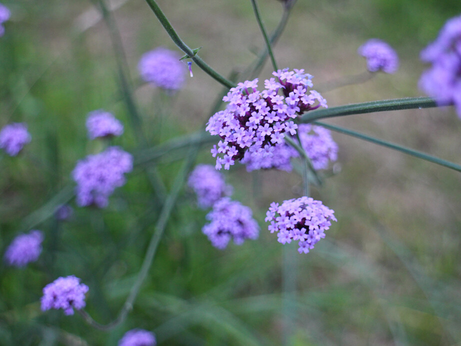 6780452.png 6780452.png