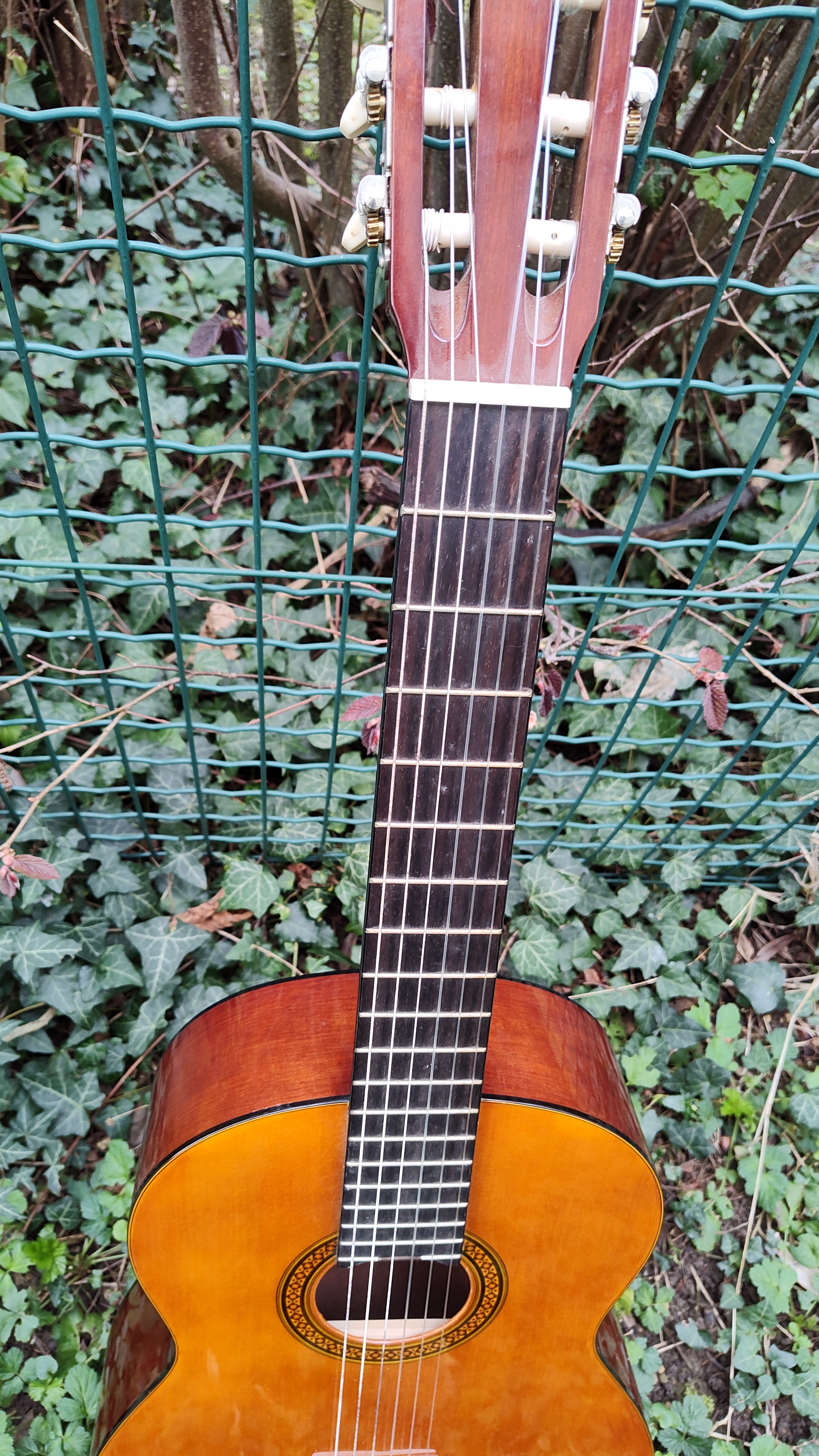 Yamaha CG100A (10441)