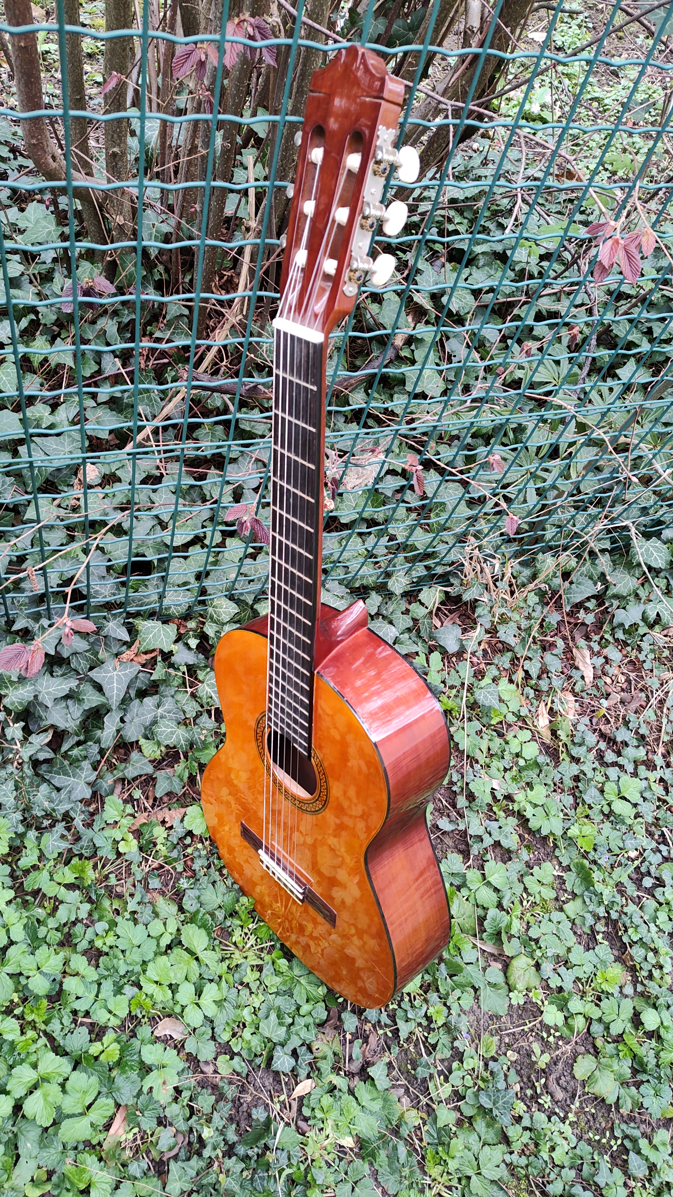 Yamaha CG100A (52118)