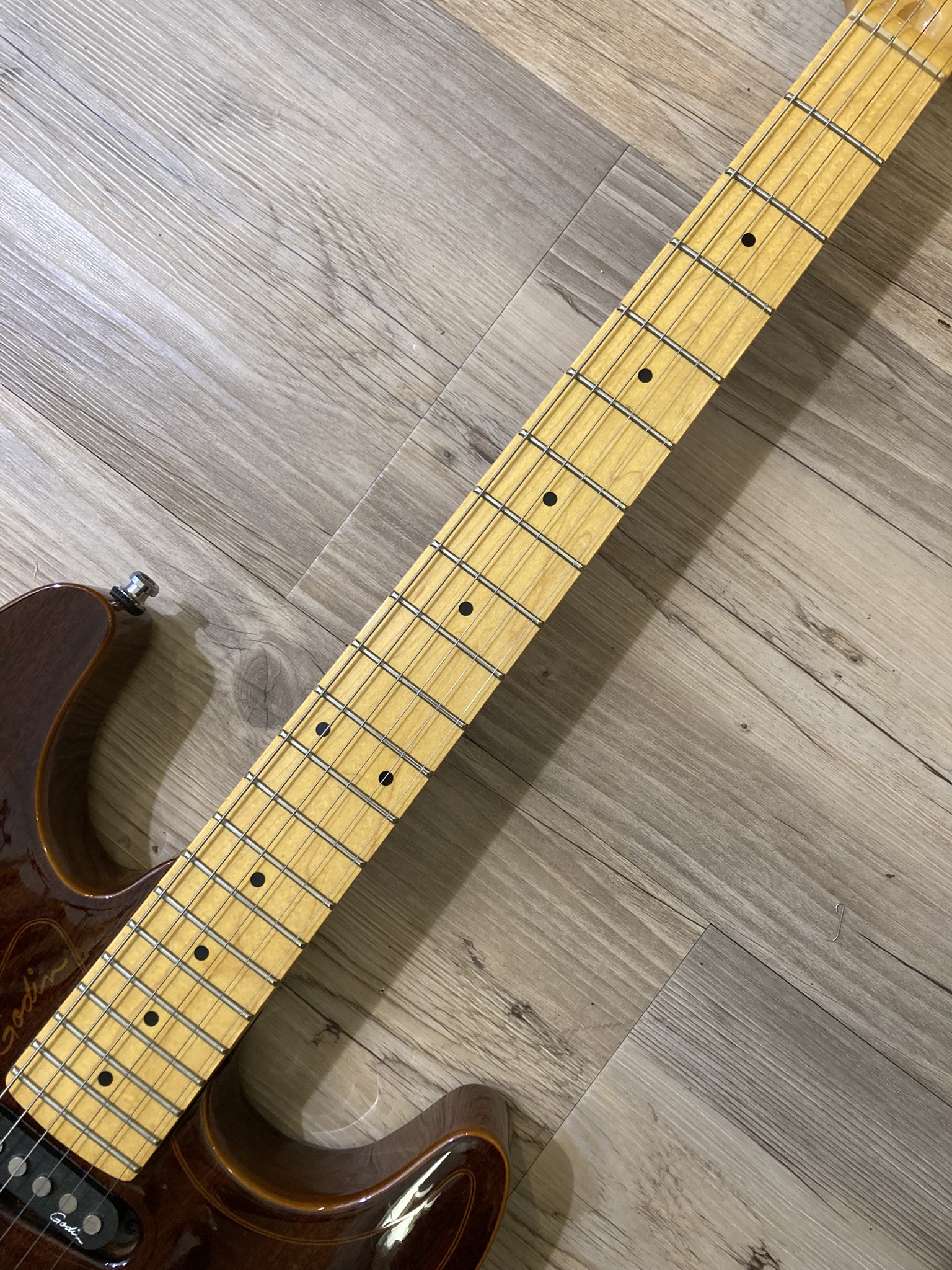 Godin Passion RG-3 (85171)