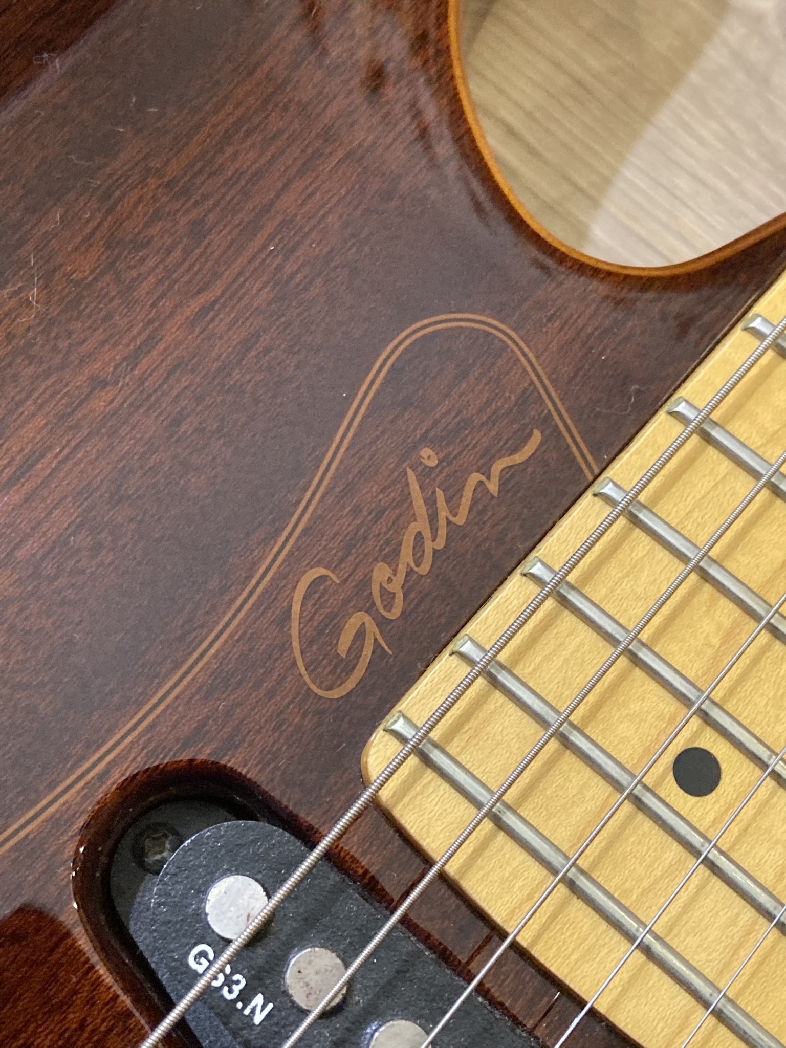 Godin Passion RG-3 (9852)