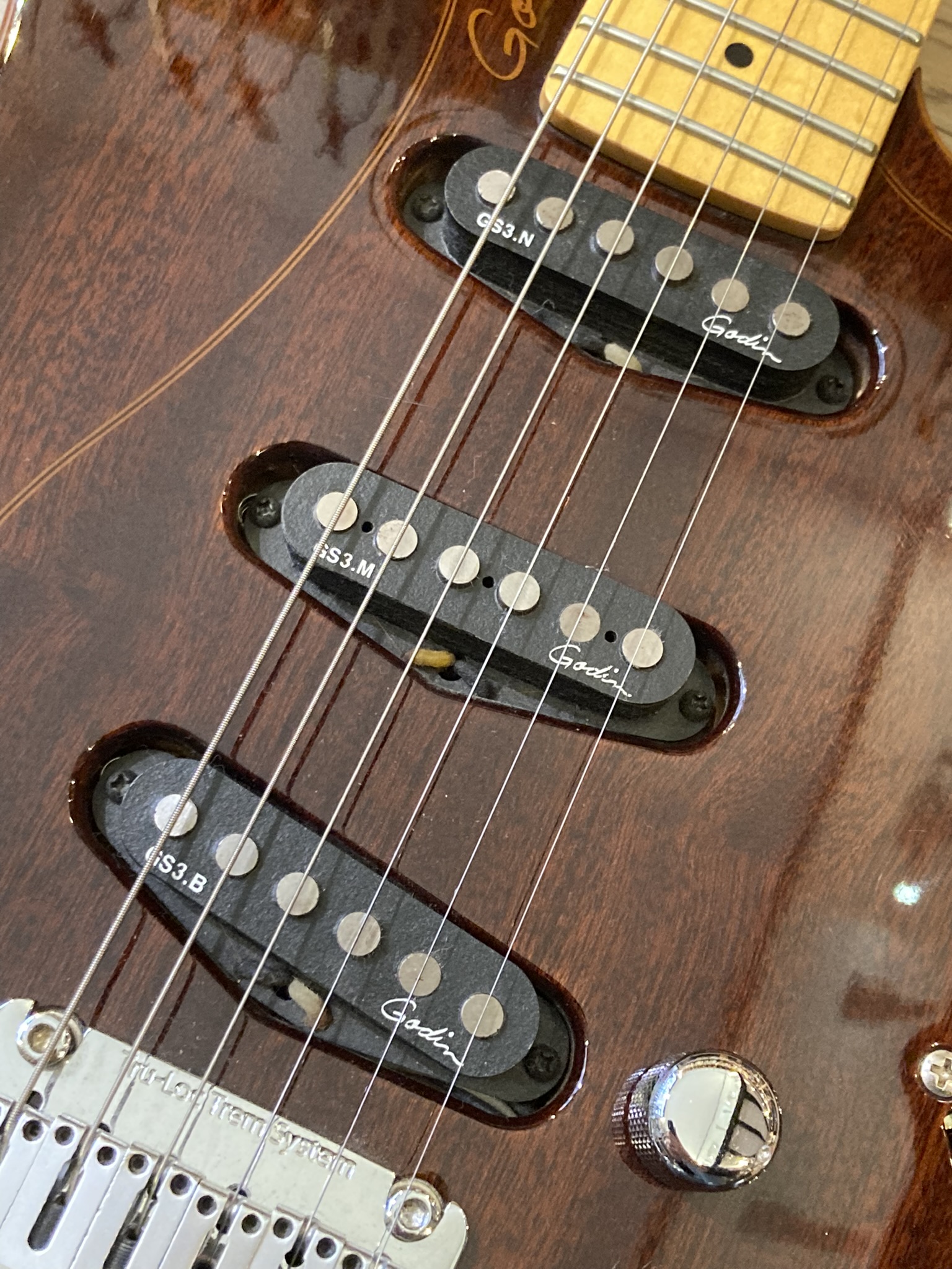 Godin Passion RG-3 (26094)