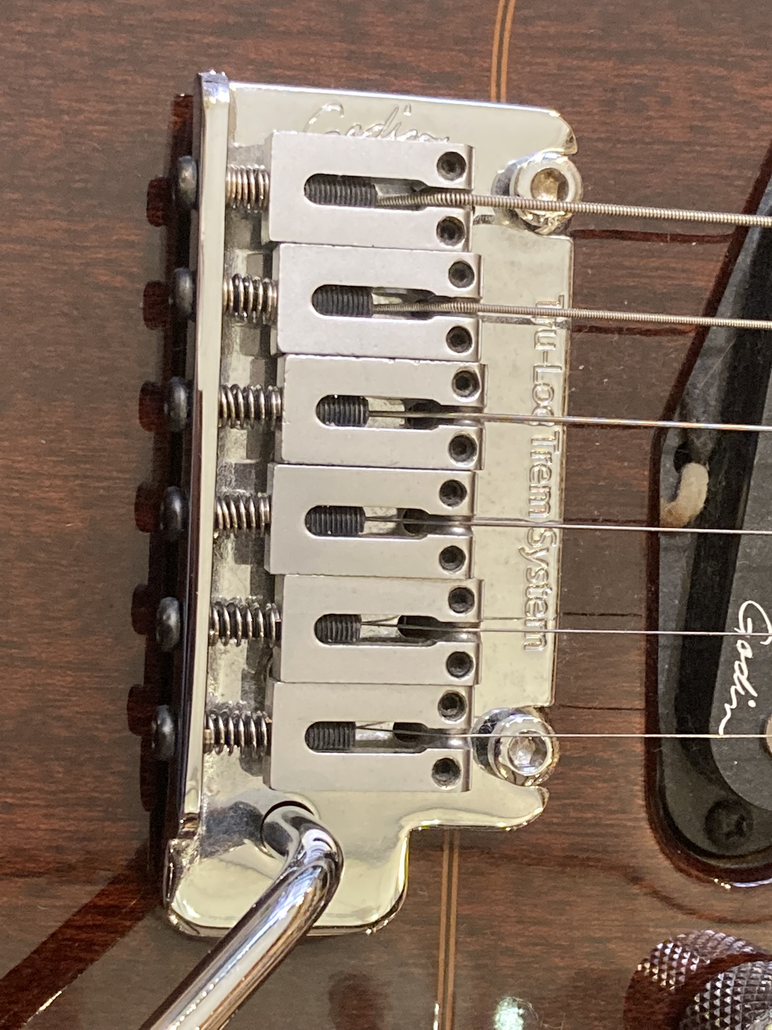 Godin Passion RG-3 (80074)