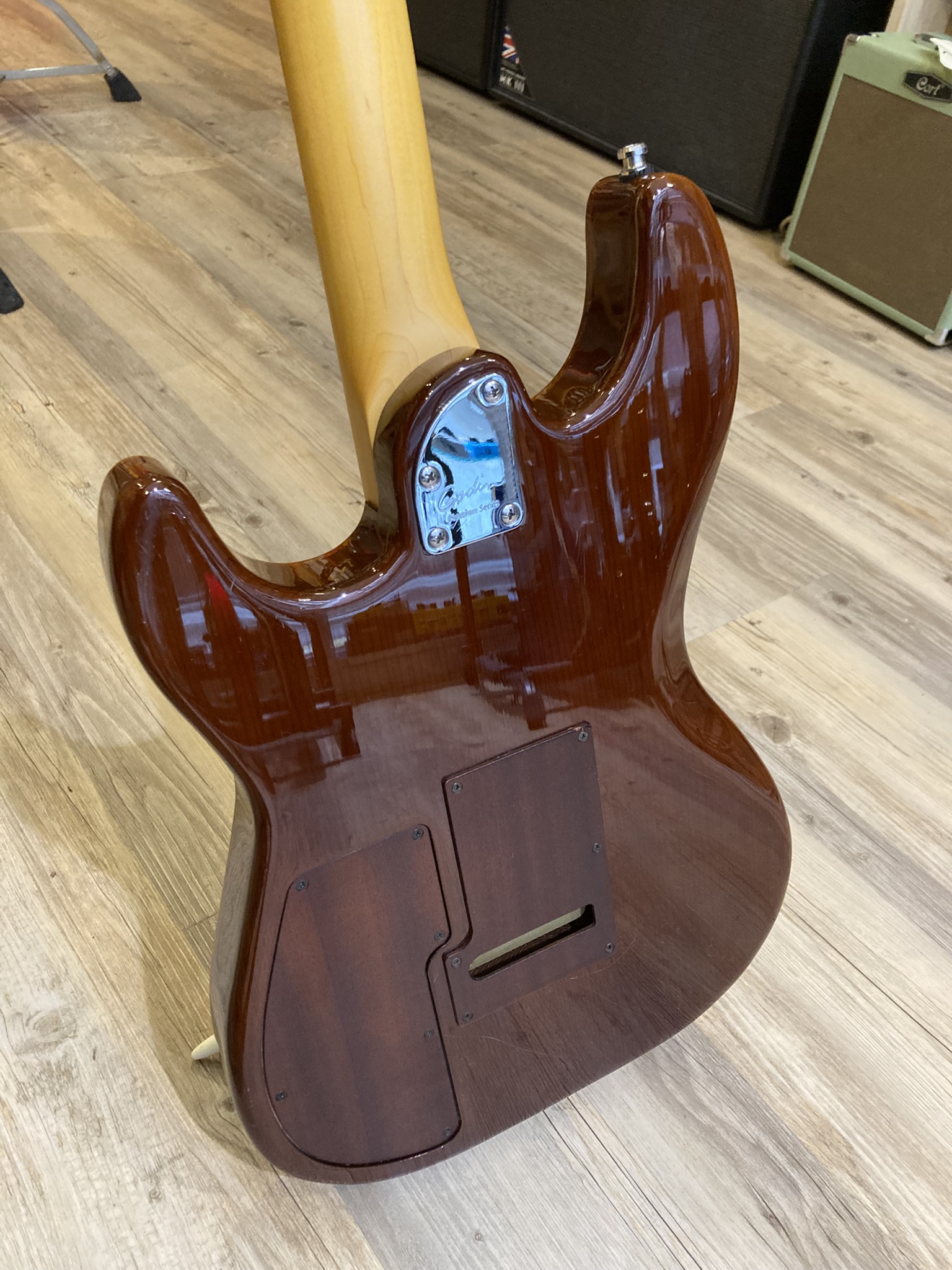 Godin Passion RG-3 (47879)
