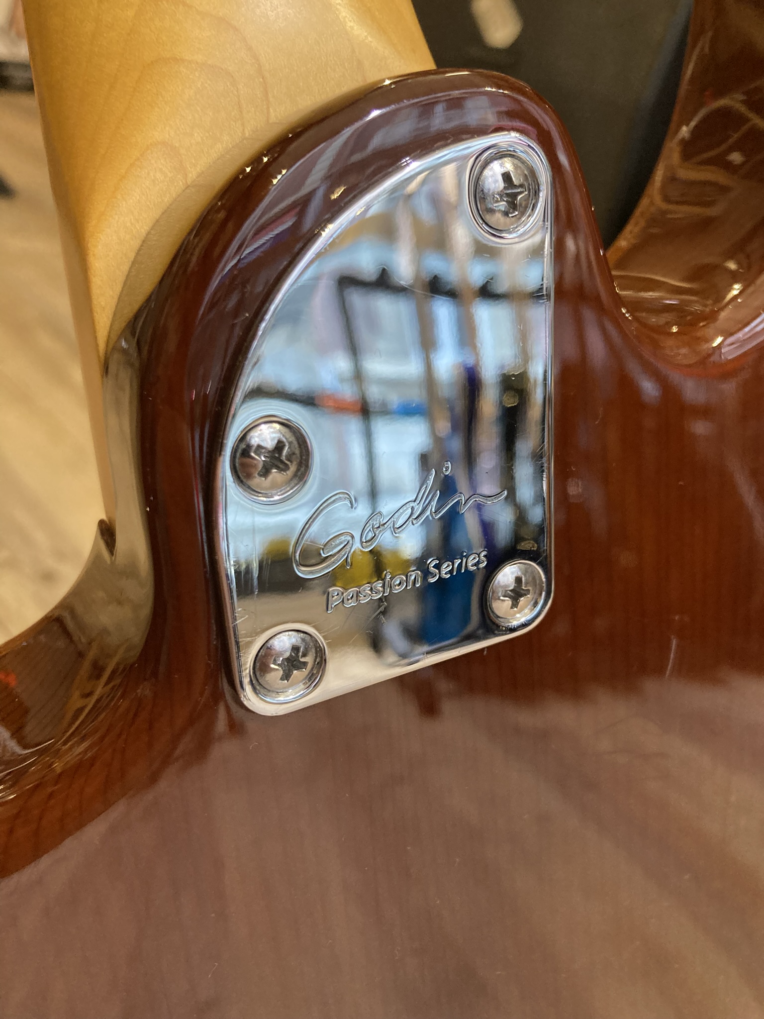 Godin Passion RG-3 (71297)