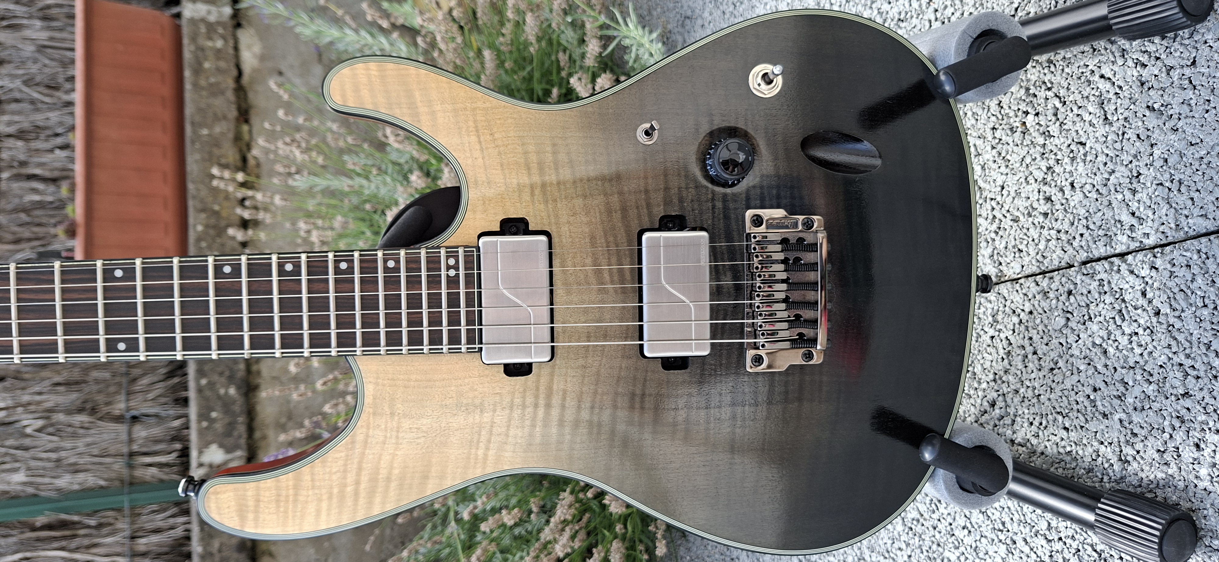 Ibanez S61AL Axion Label - ÉTAT NEUF - Micros Fishman Fluence