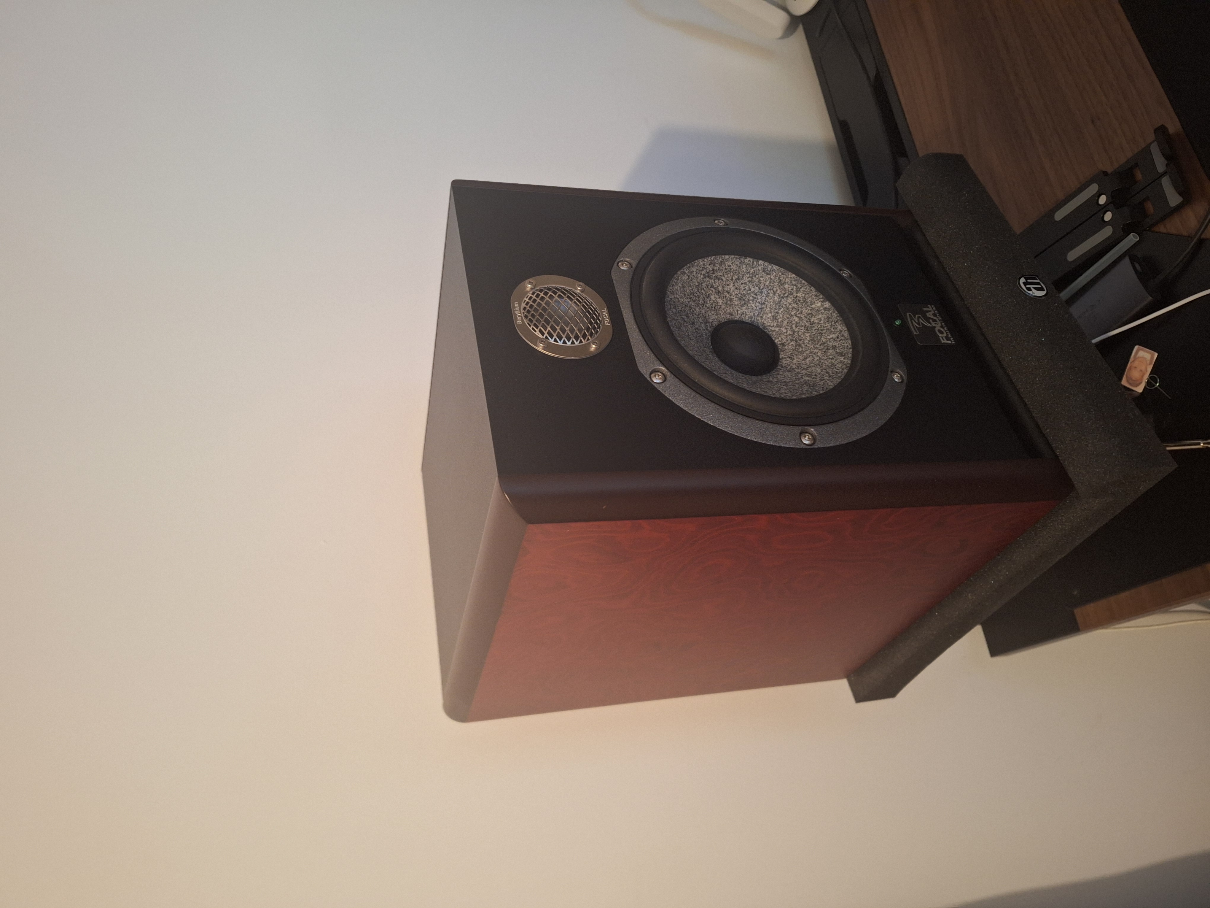 Vends monitoring Focal solo 6