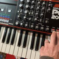 Roland jx3p + PG200