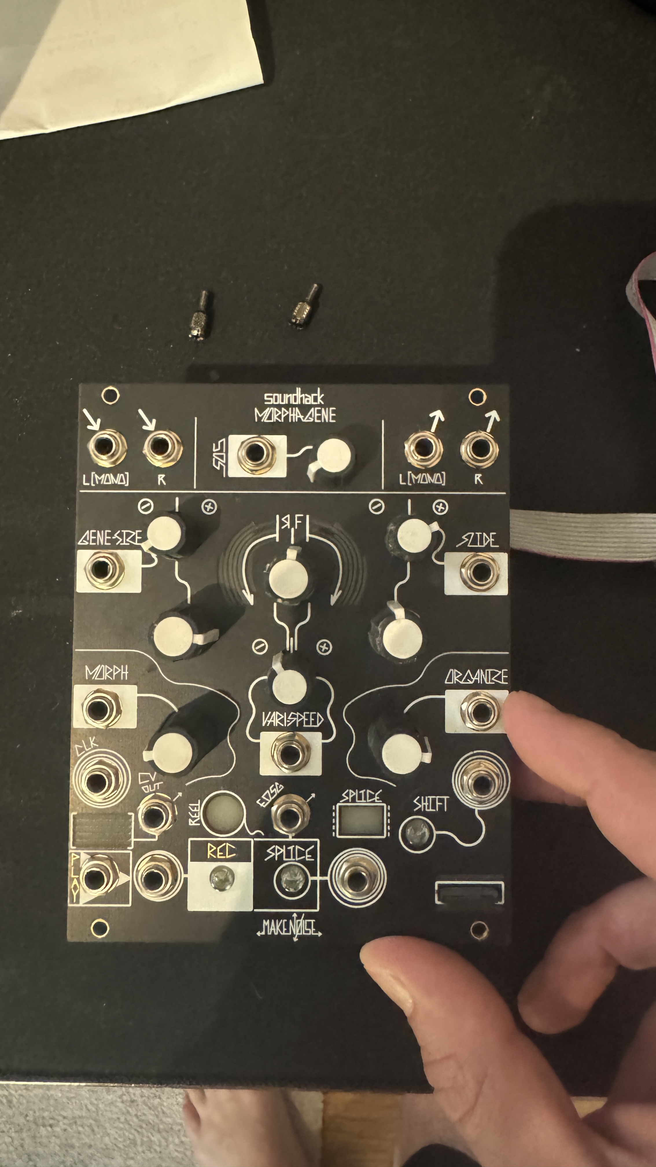 Morphagene Make Noise TBE