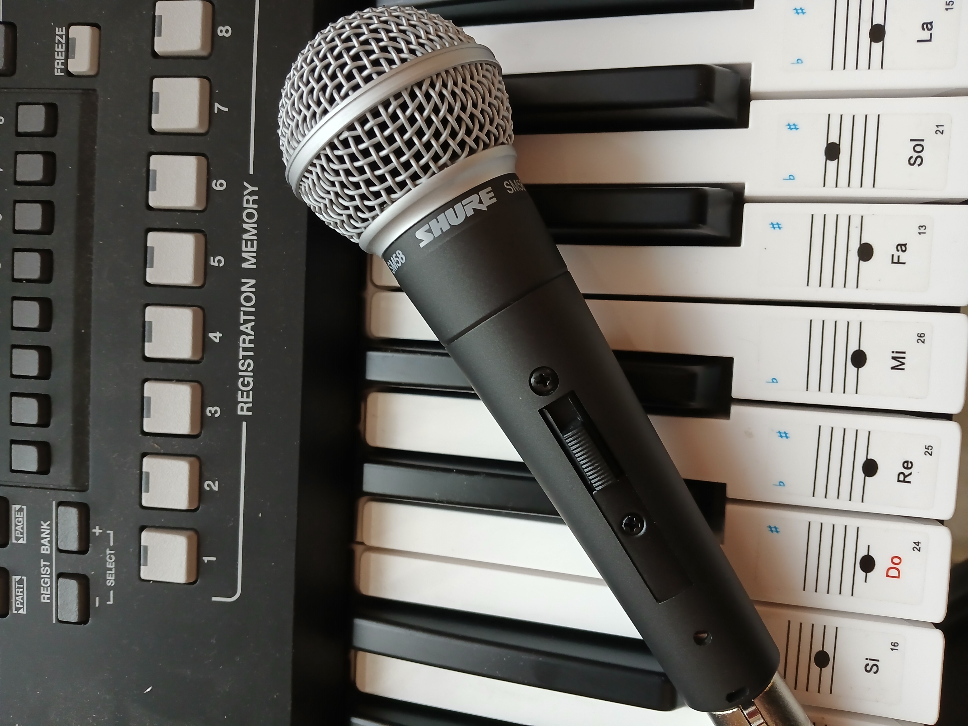 Micro Shure sm 58