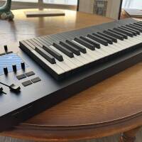 Vends Expressive E Osmose 49