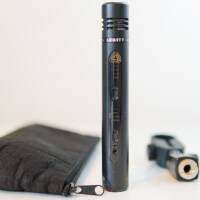 Vends Lewitt LCT 340