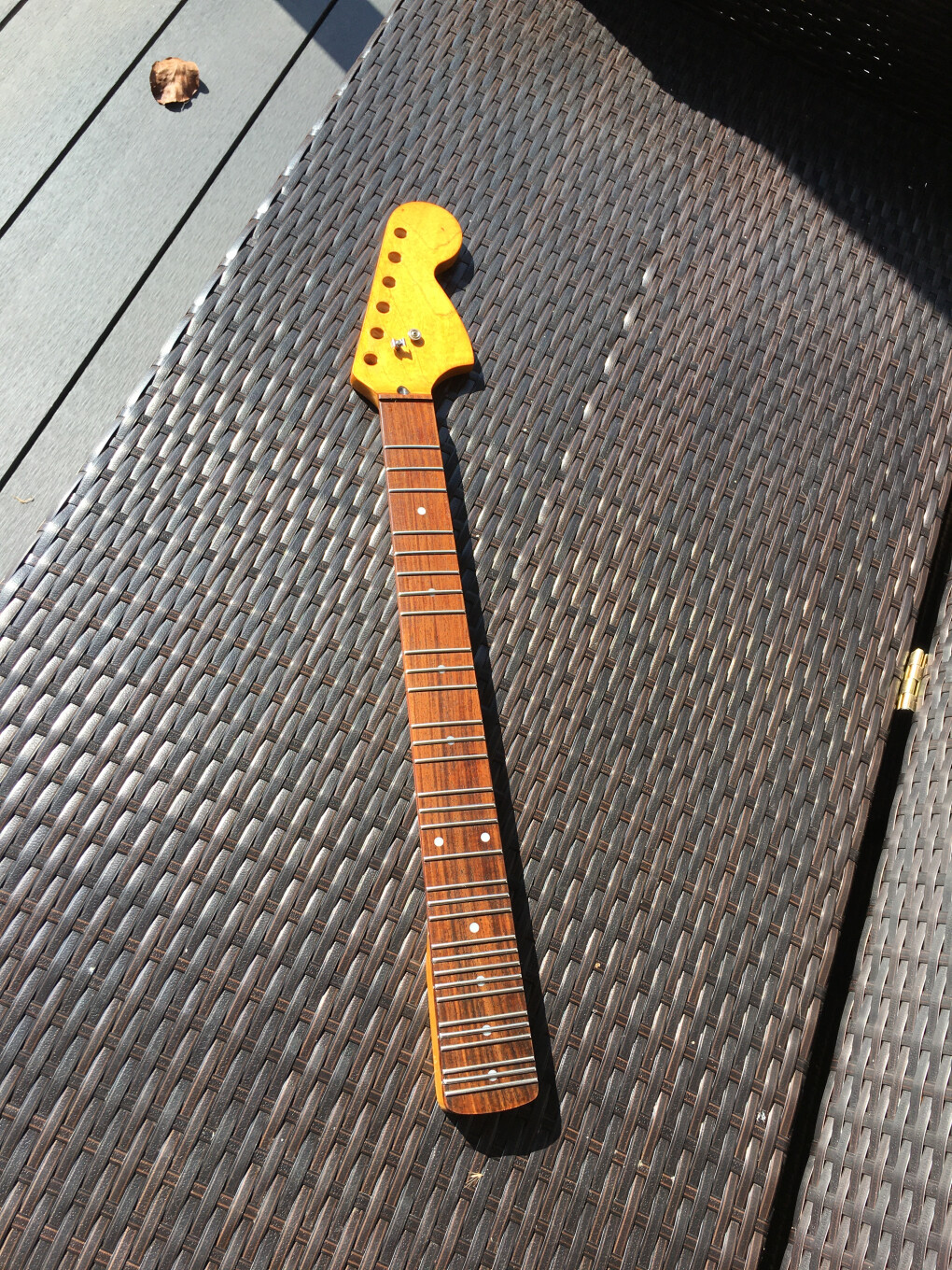 6785619.jpeg 6785619.jpeg