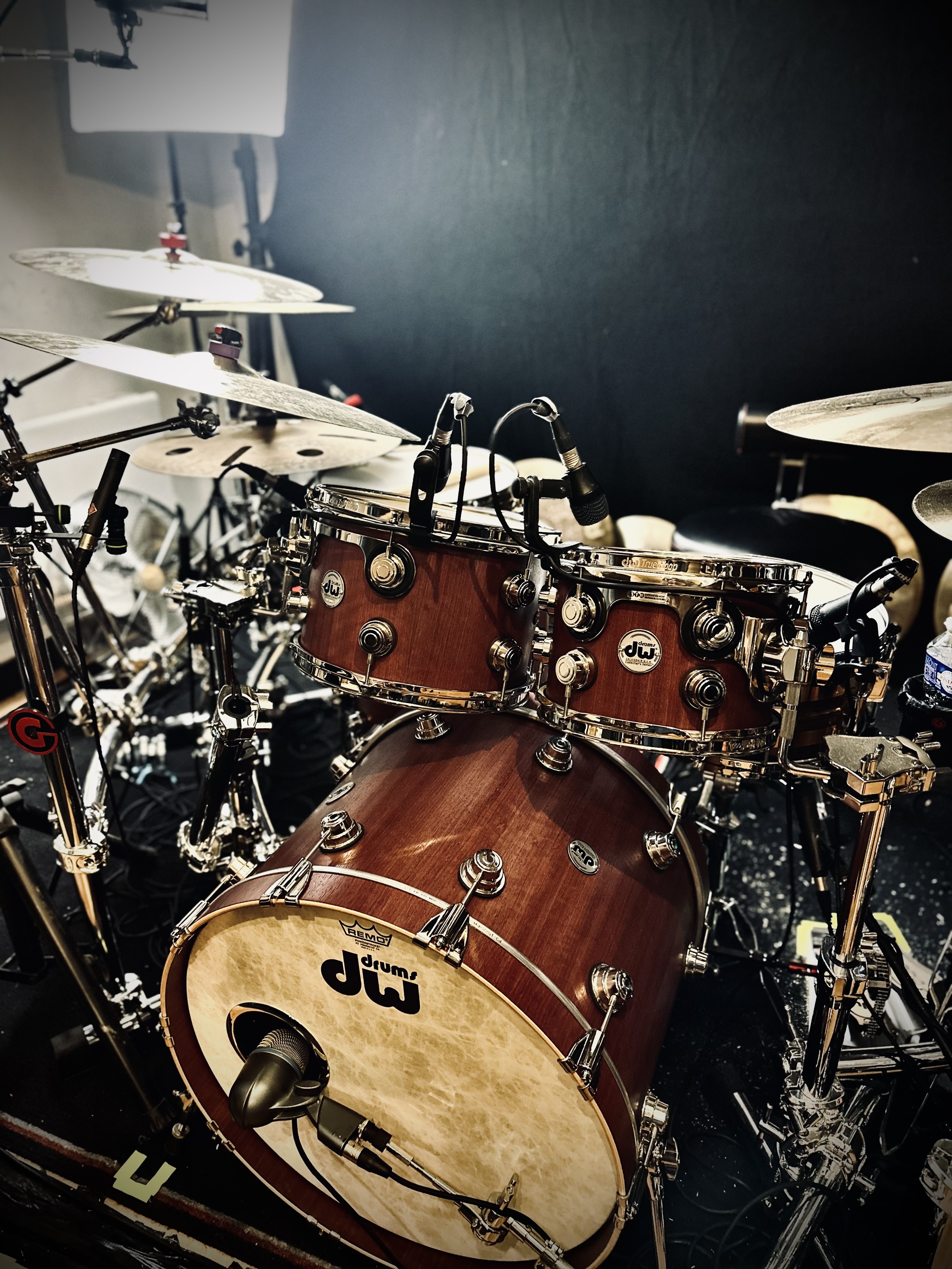 Dw collector purple core hybrid shells (unique) 